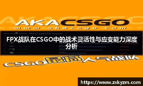 FPX战队在CSGO中的战术灵活性与应变能力深度分析